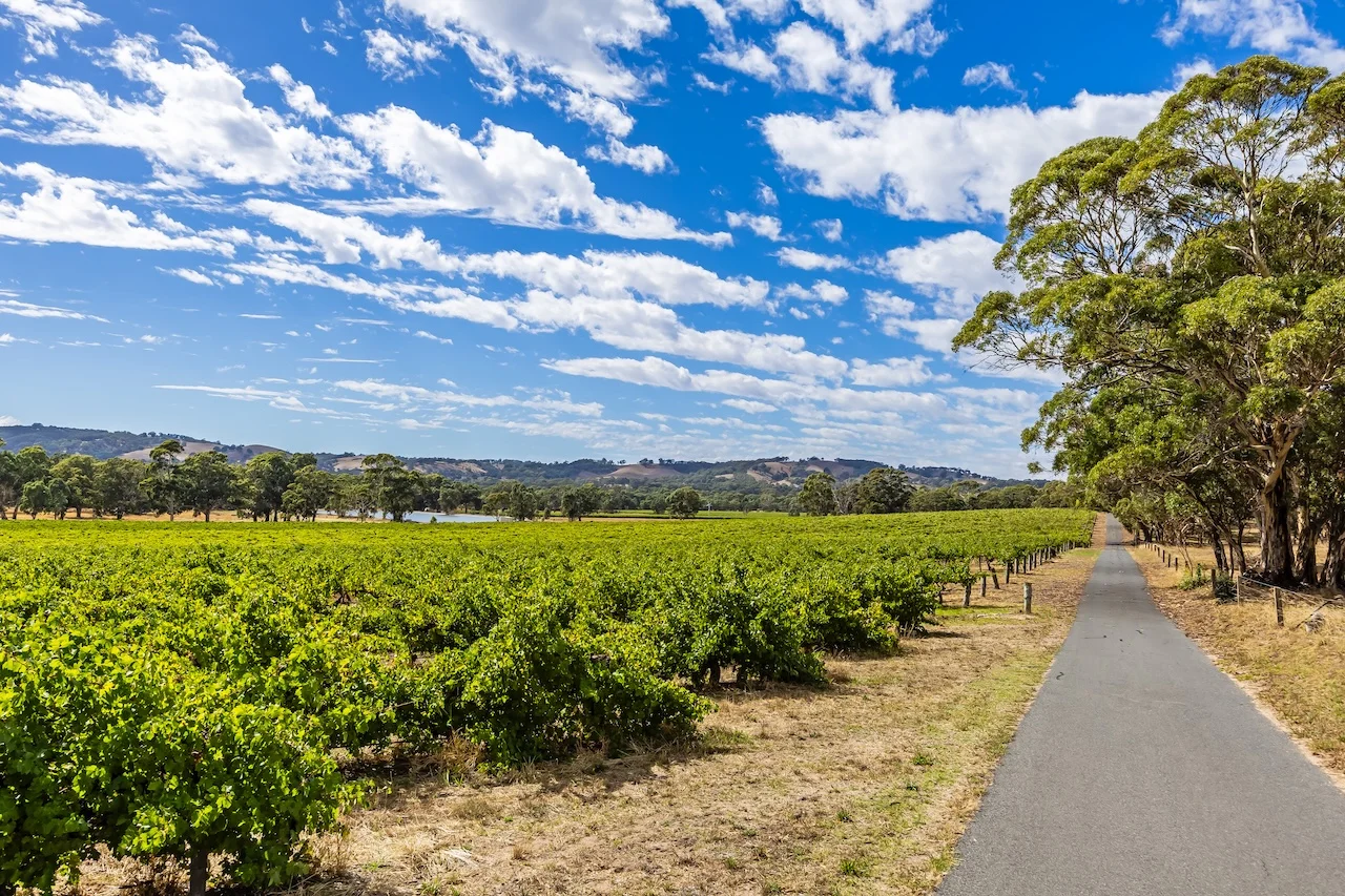 Additional image 7 of 49 Chapel Hill Road, Kangarilla SA 5157