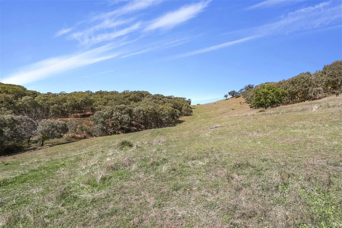Additional image 12 of Part 1169 Grahamstown Road, Adelong NSW 2729