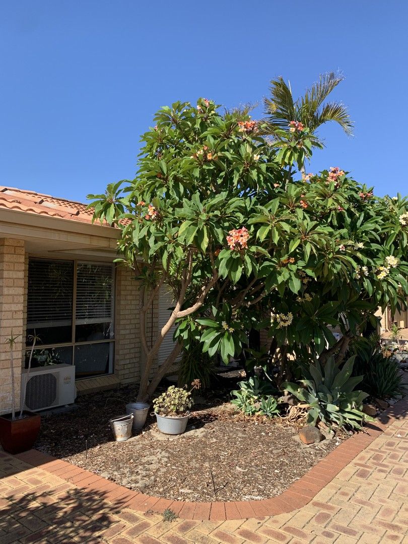 2 bedrooms House in 2/94 Campion Avenue BALCATTA WA, 6021