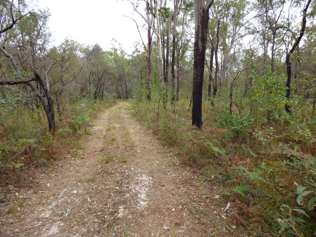 Lot 92 Sandy Swamp Road, Coutts Crossing NSW 2460, Image 1