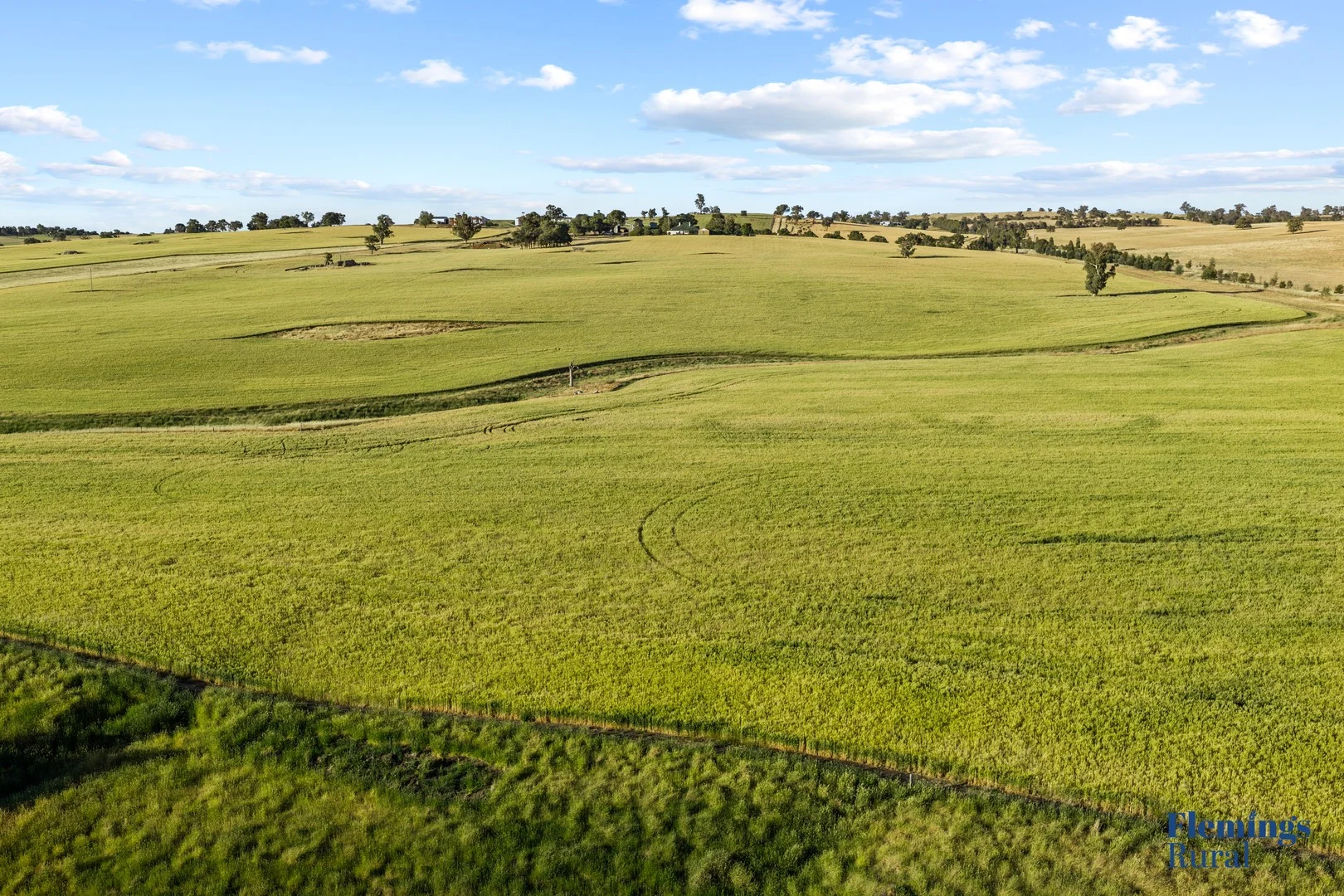 170 Kanoona Road, Harden NSW 2587