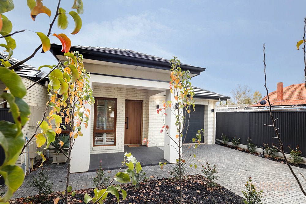 23 Barker Grove, Toorak Gardens SA 5065 House For Rent 1,100 Domain