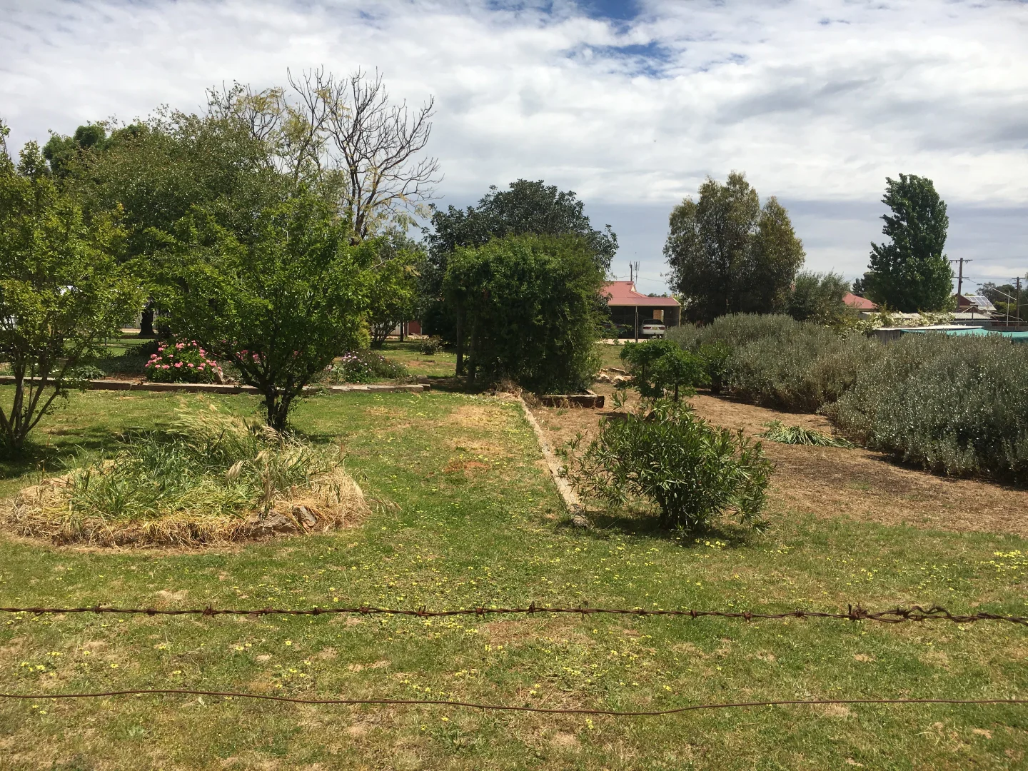 Additional image 9 of 18 George Street, Ariah Park NSW 2665