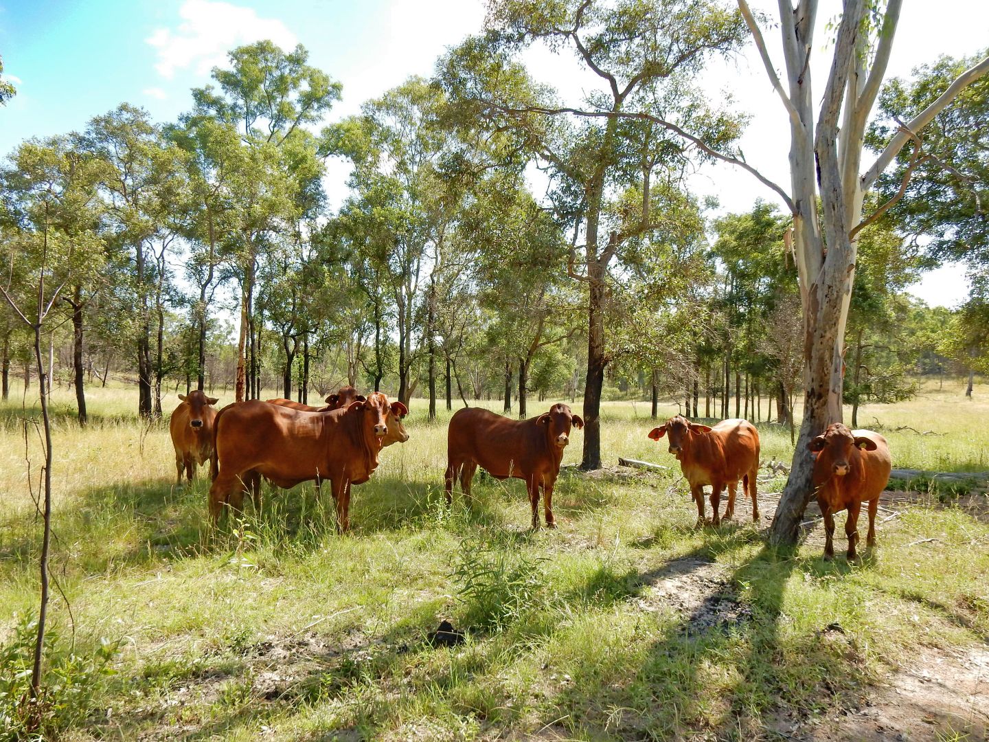 4995 Boondooma Road, Toondahra QLD 4625, Image 1