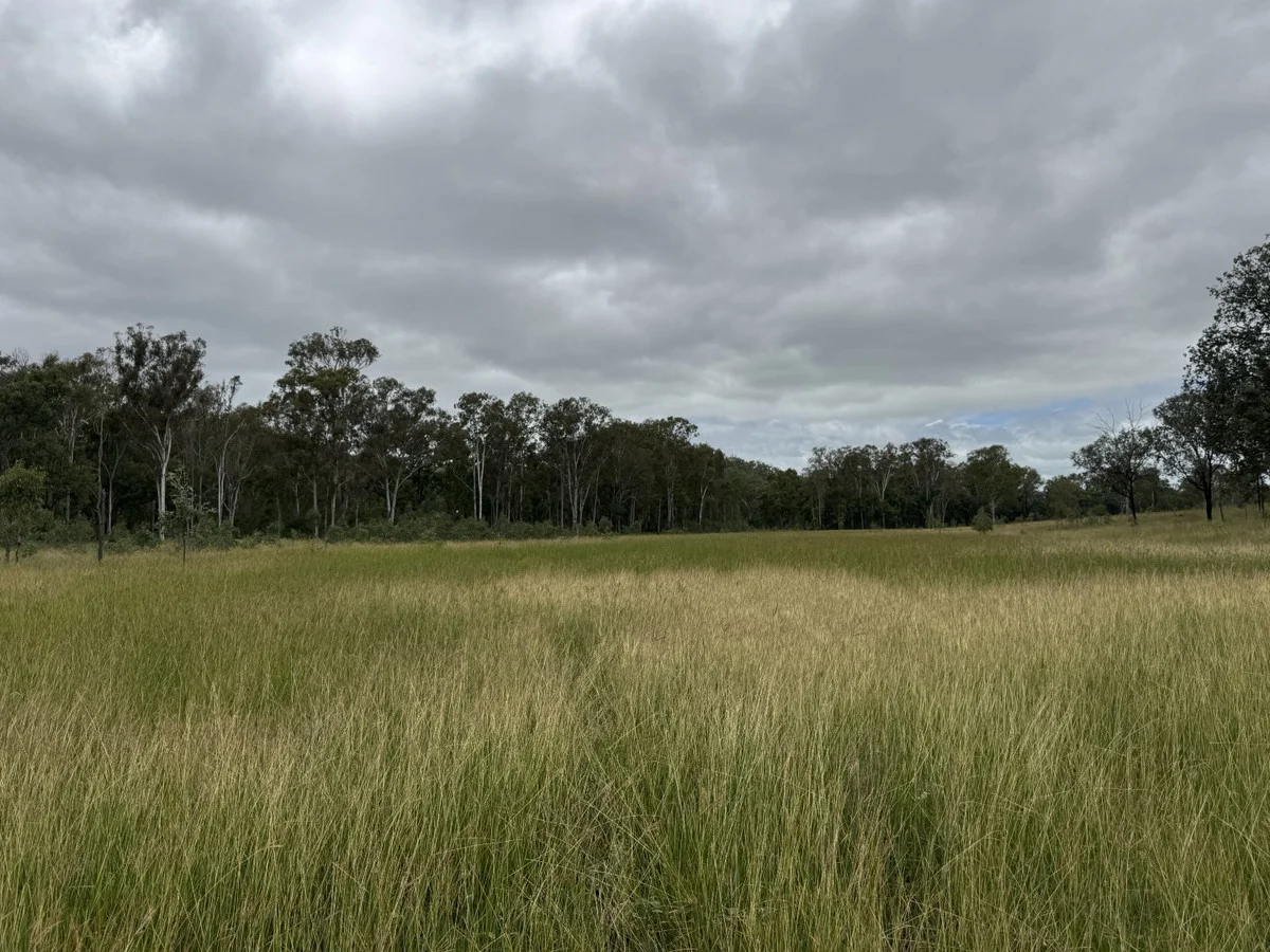 Additional image 44 of 1609 Monal Road, Monto QLD 4630