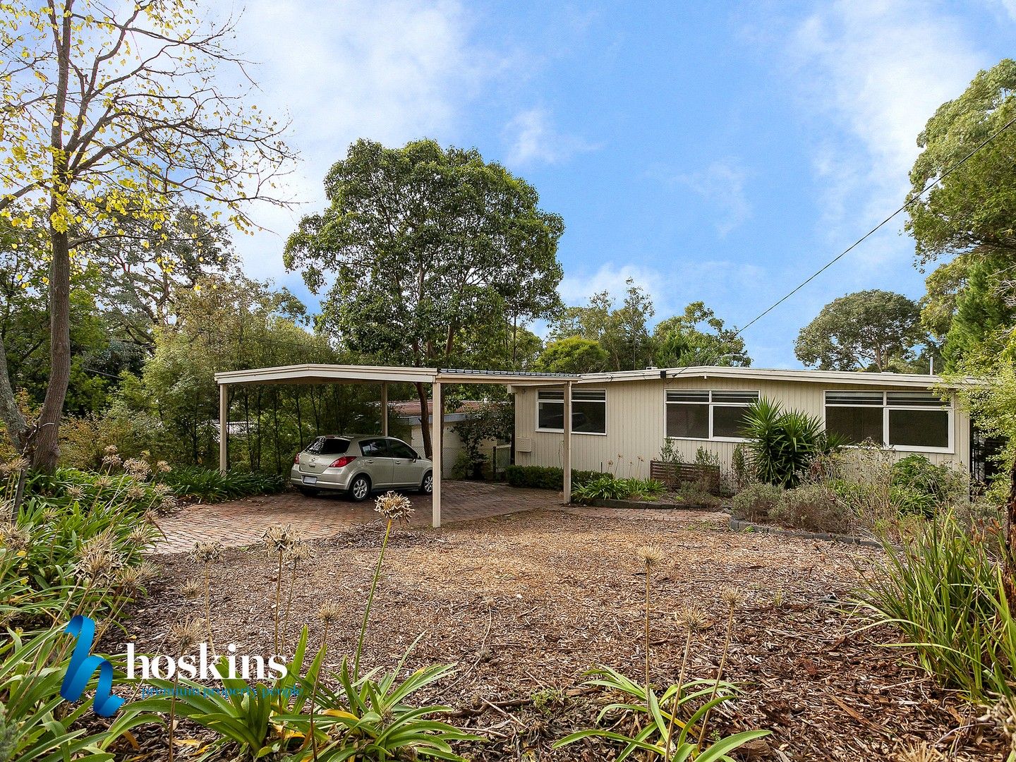 41 Wooddale Grove, Donvale VIC 3111, Image 0