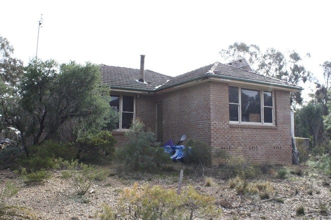 Picture of 726 Willow Glen Road, LOWER BORO NSW 2580