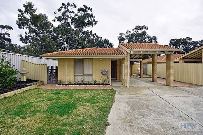 Picture of 1/6 Conifer Close, BALLAJURA WA 6066