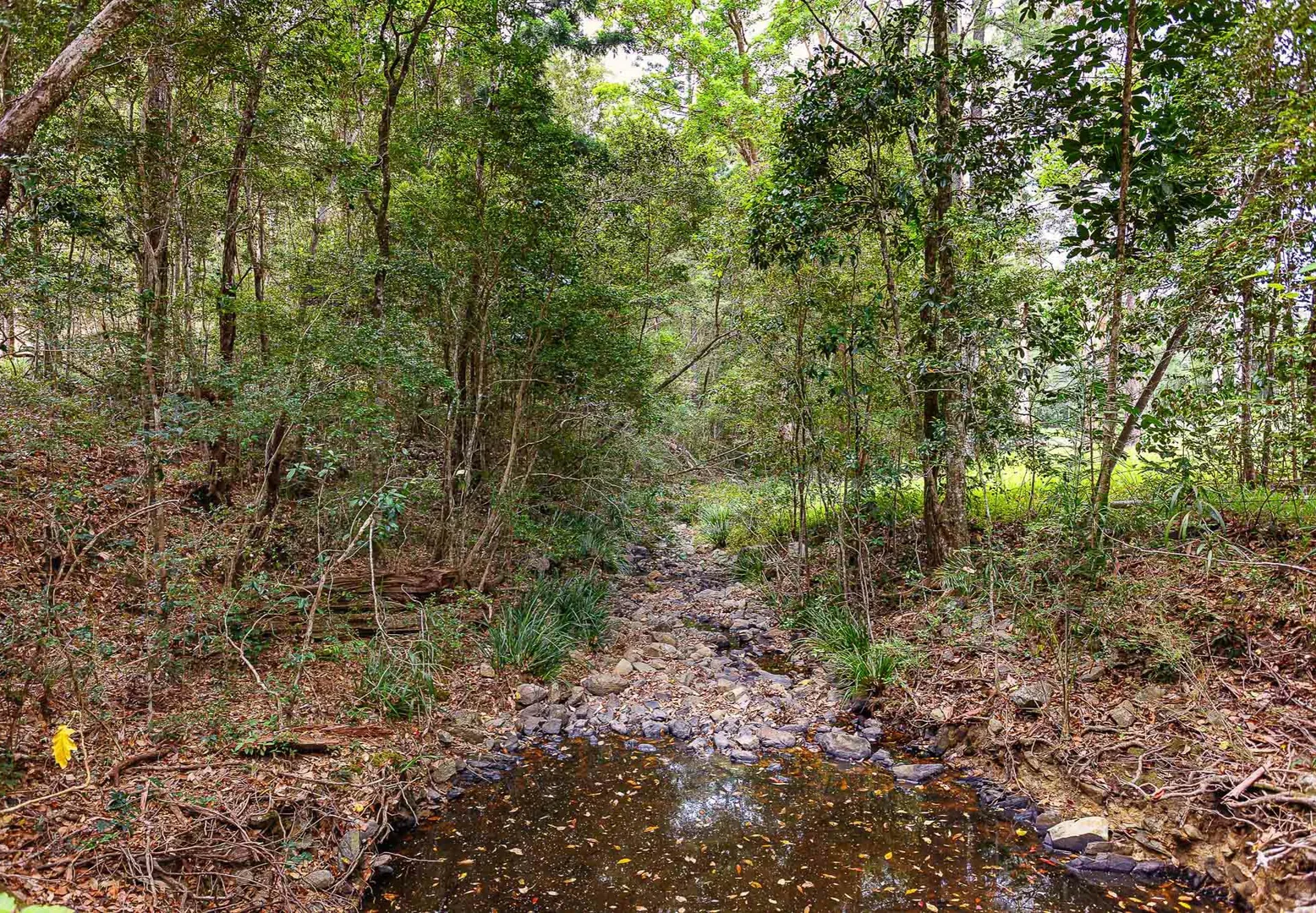 Image 17