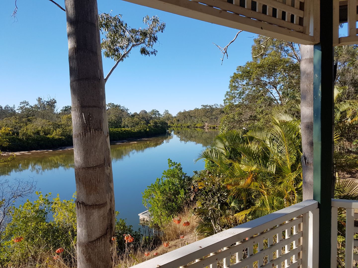 290 Pacific Haven Circuit Pacific Haven QLD 4659 Domain