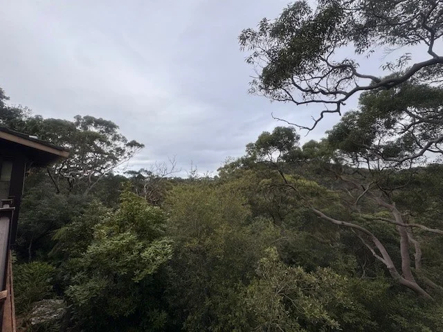 Additional image 6 of 10 Cherry Place, Castle Cove NSW 2069