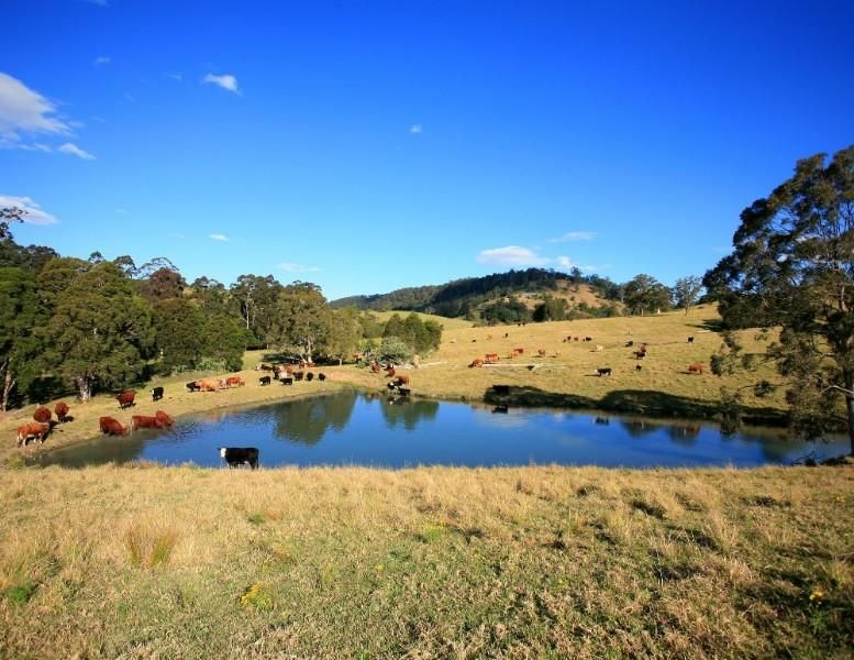 Belbora NSW 2422, Image 1