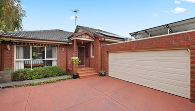 Picture of 2/35 Sunnyside Grove, BENTLEIGH VIC 3204