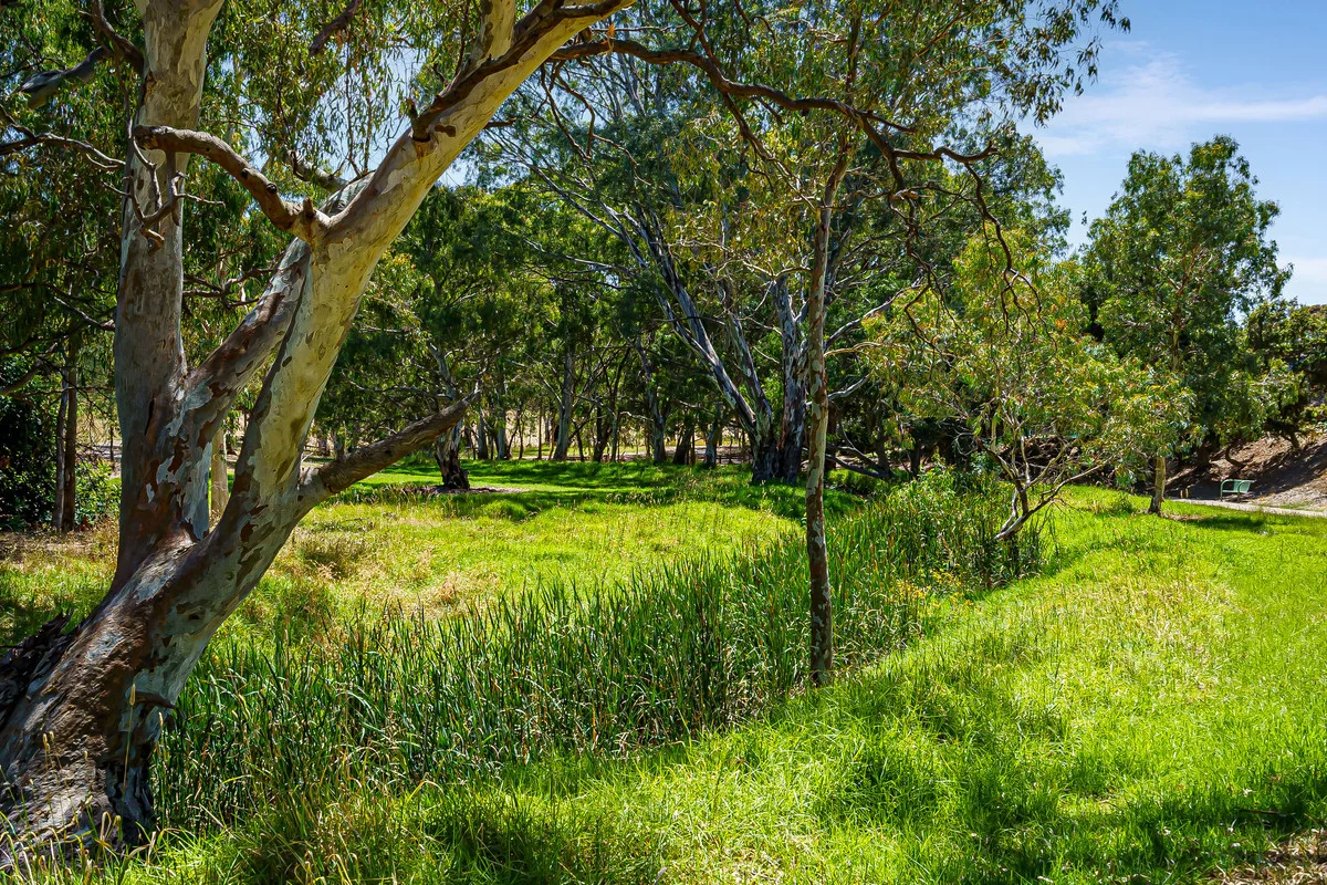 Additional image 11 of 1C Alawa Avenue, Modbury North SA 5092