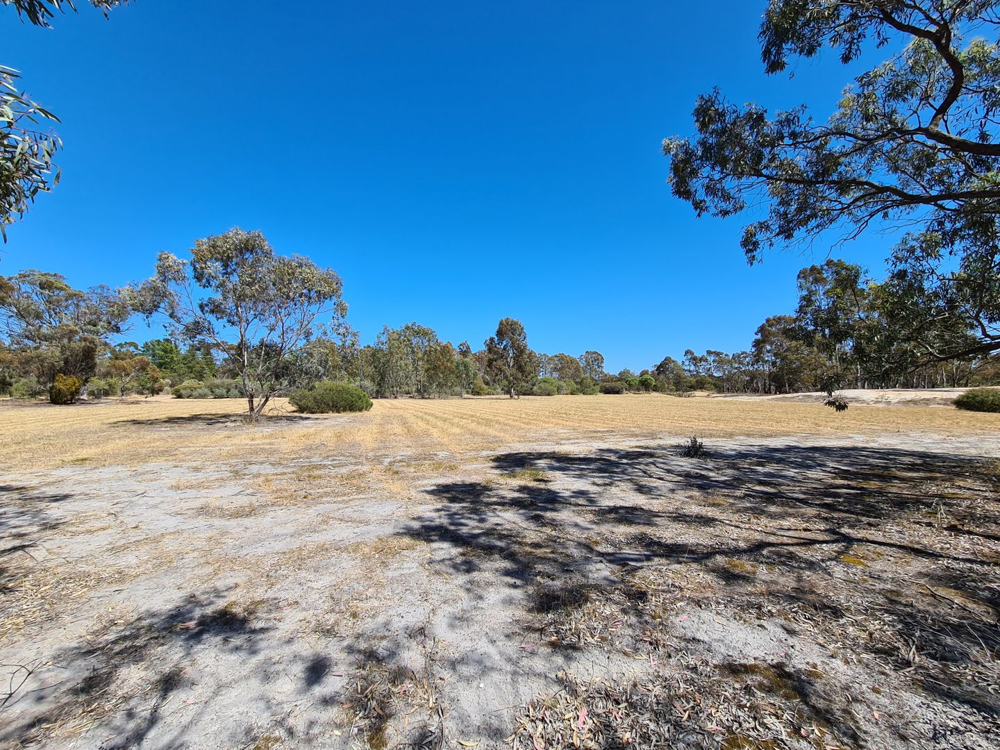 628 Wanke Street, Katanning WA 6317 - Vacant Land for Sale ...