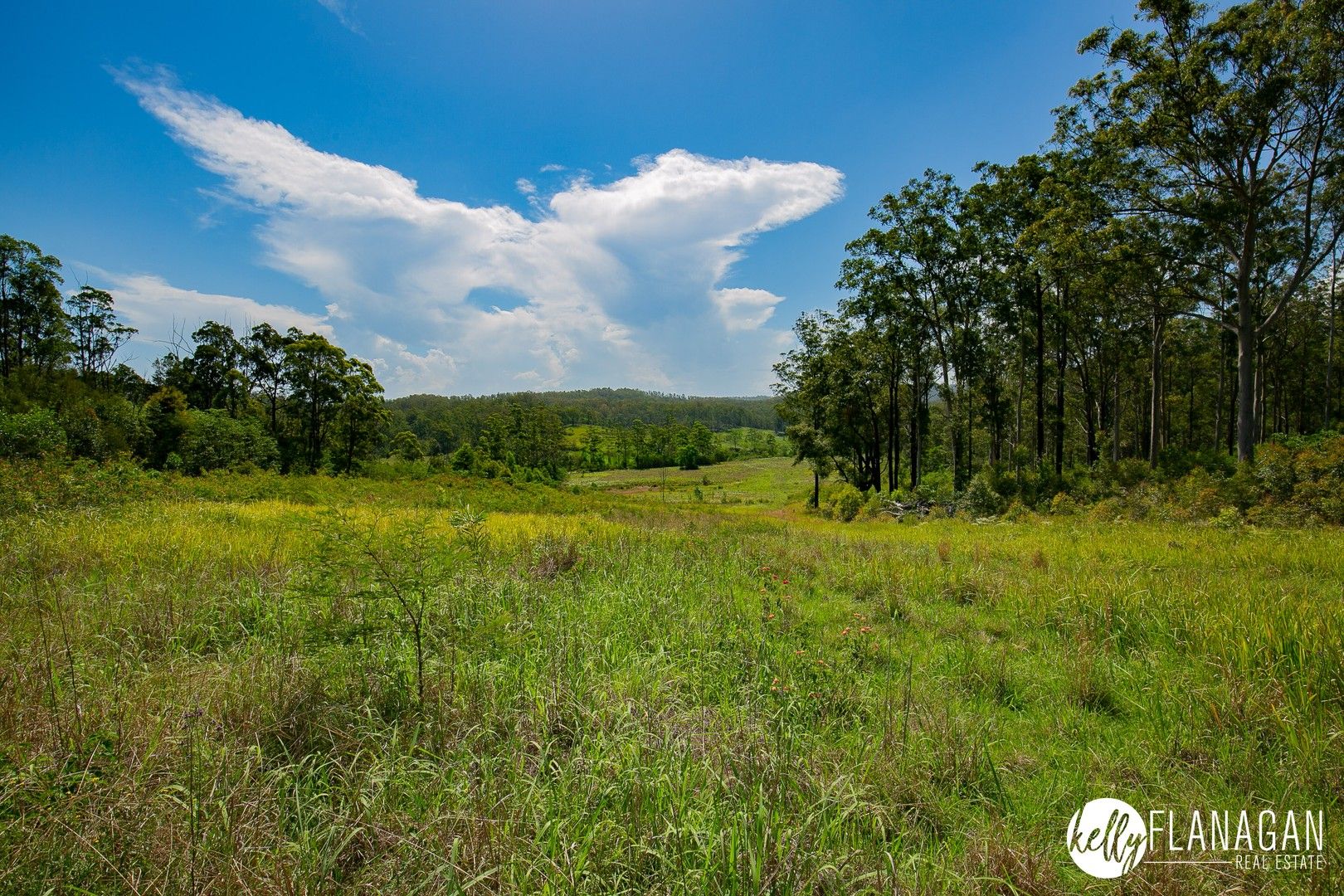 Rural in 300 Dennis Road, MUNGAY CREEK NSW, 2440
