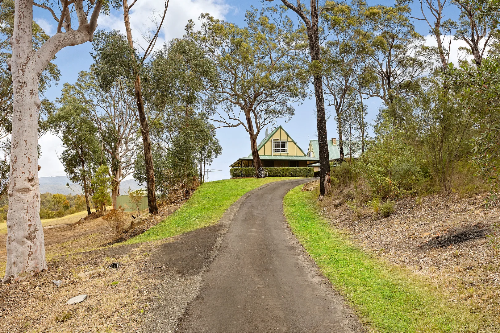 Image 14