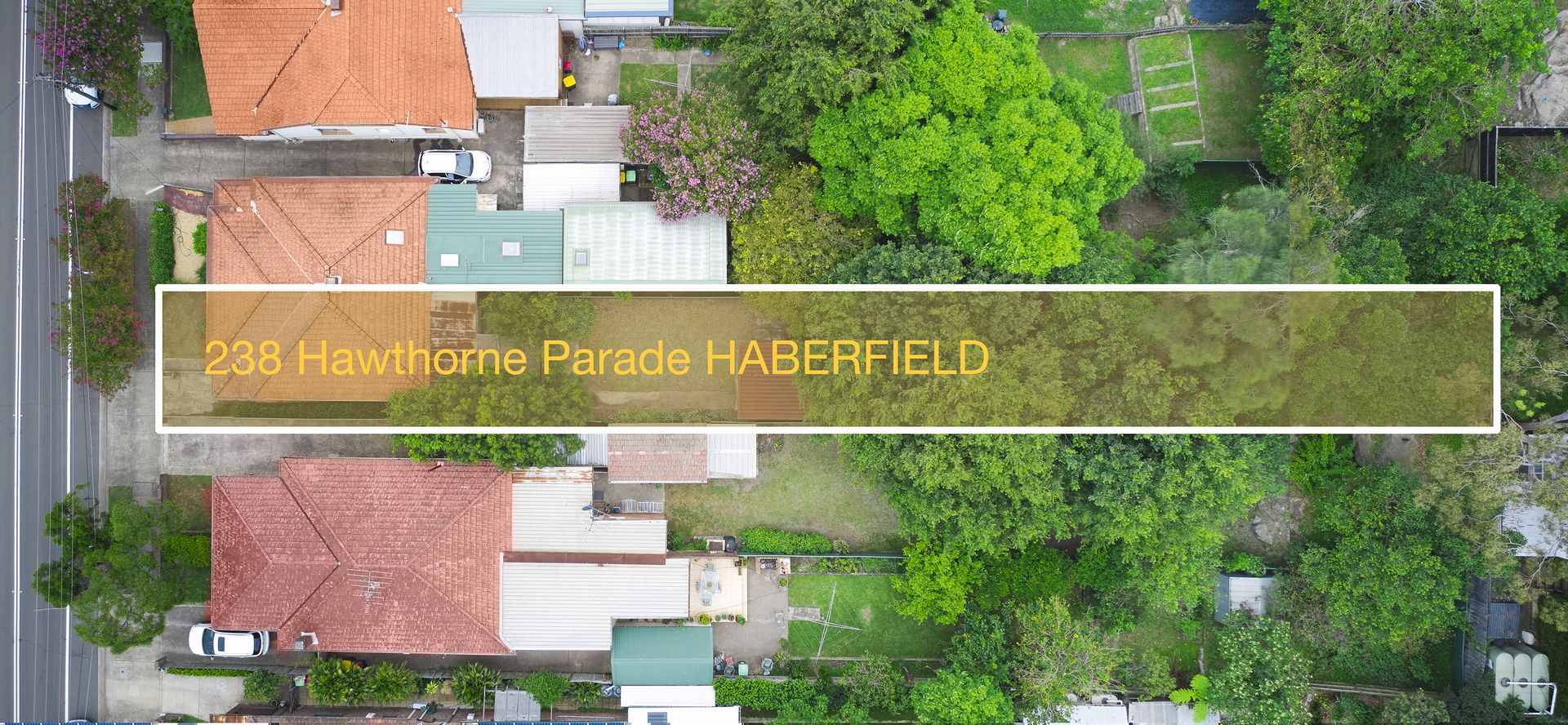 238 Hawthorne Parade, Haberfield NSW 2045, Image 2