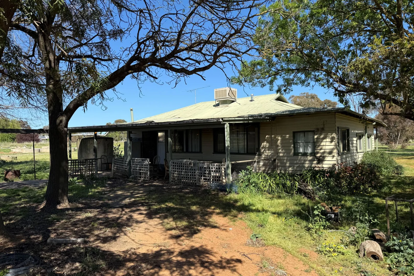 Image 15