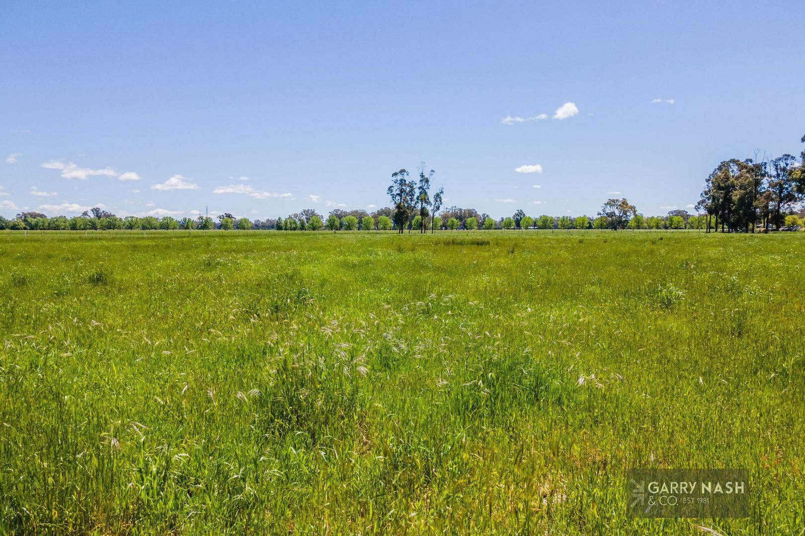 Lot 2 Wangaratta - Whitfield Road, Docker VIC 3678, Image 2