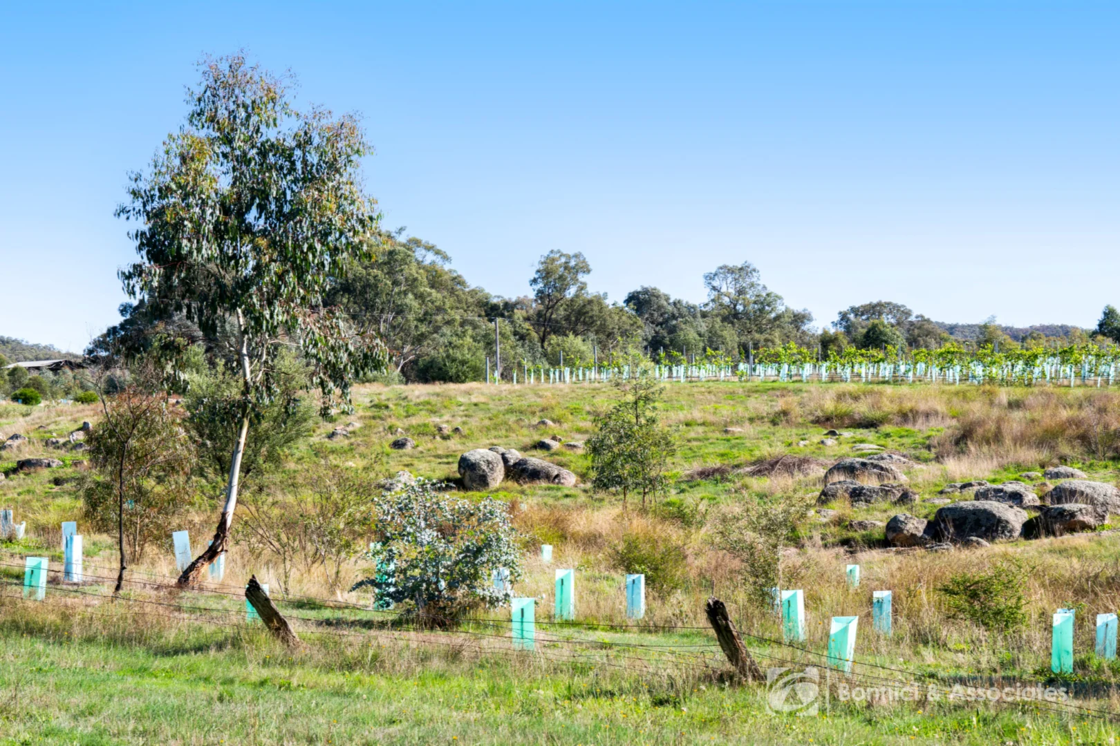 Additional image 43 of 482 Beechworth- Chiltern Road, Beechworth VIC 3747