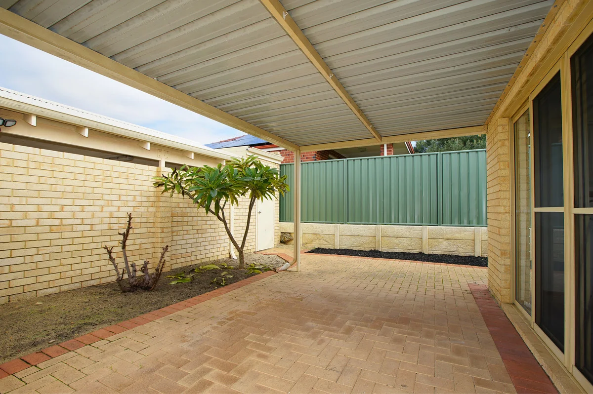 Image 15