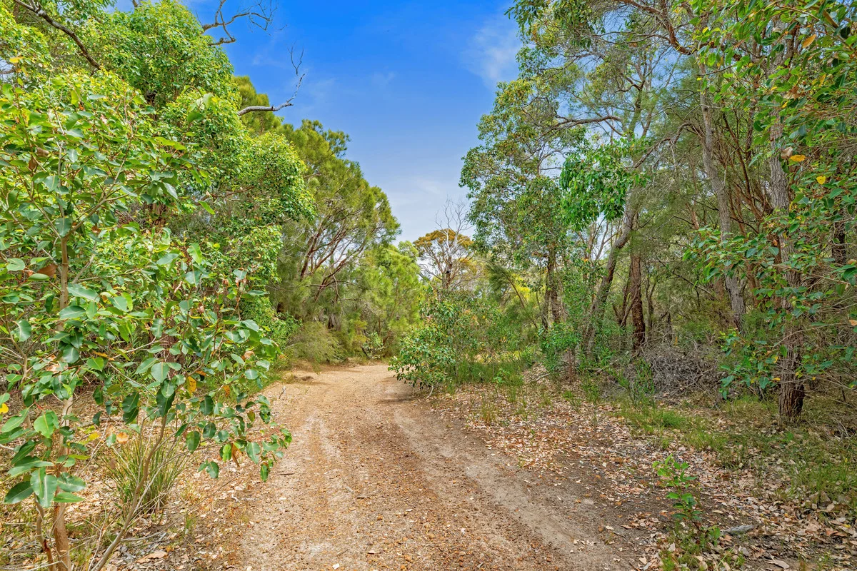 Image 15