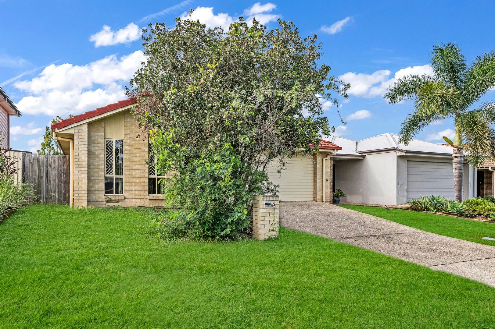 17 Miers Crescent, Murrumba Downs QLD 4503 House For Rent 600 Domain