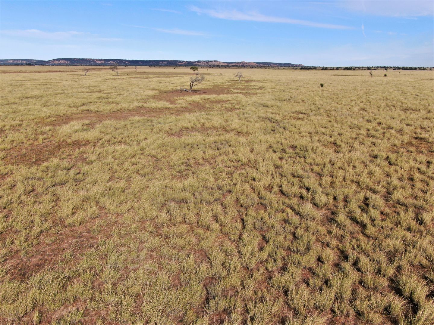 Winton QLD 4735 Livestock Property for Sale Domain