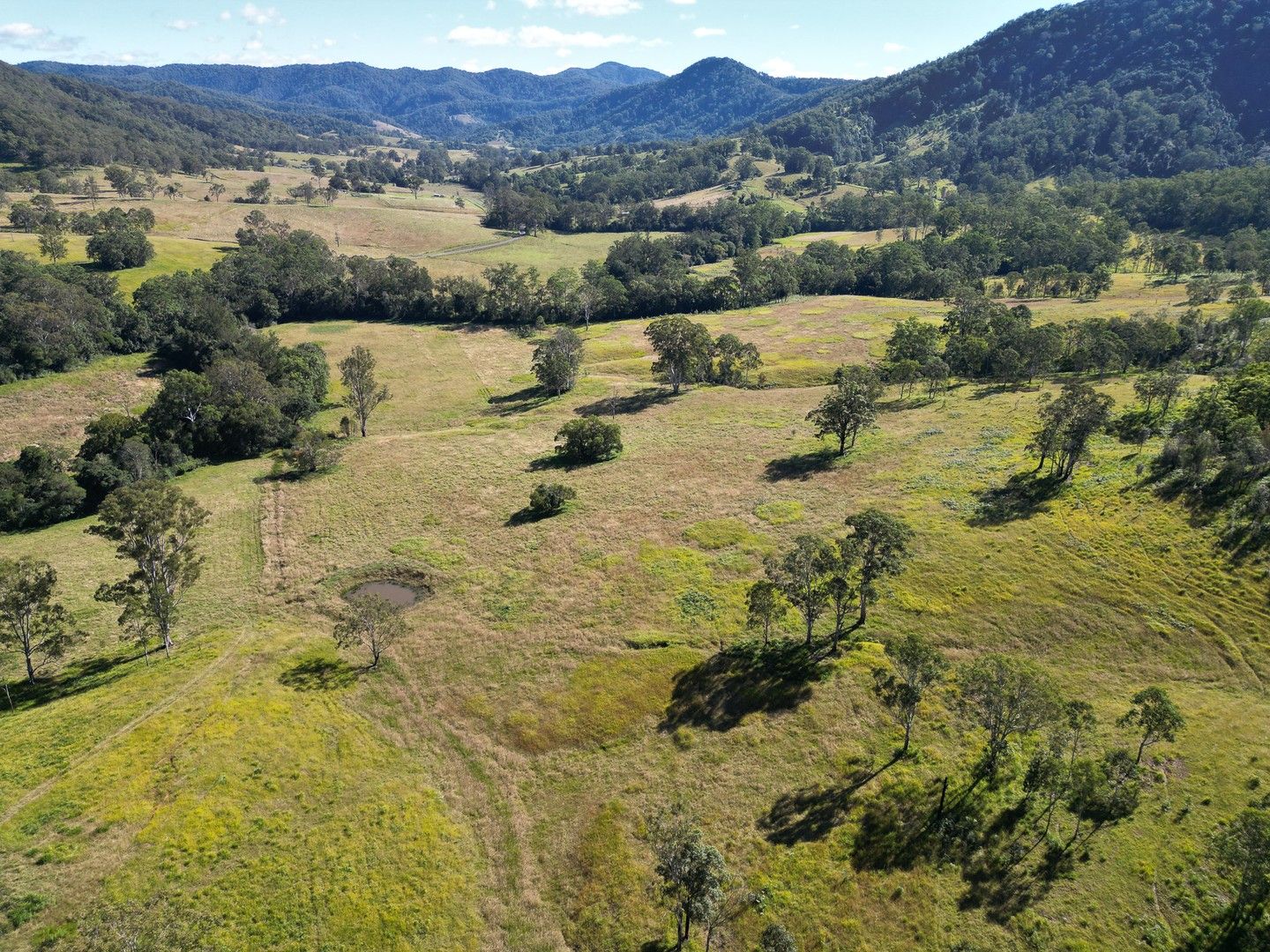 2960 Pipeclay Road, Kindee NSW 2446, Image 0