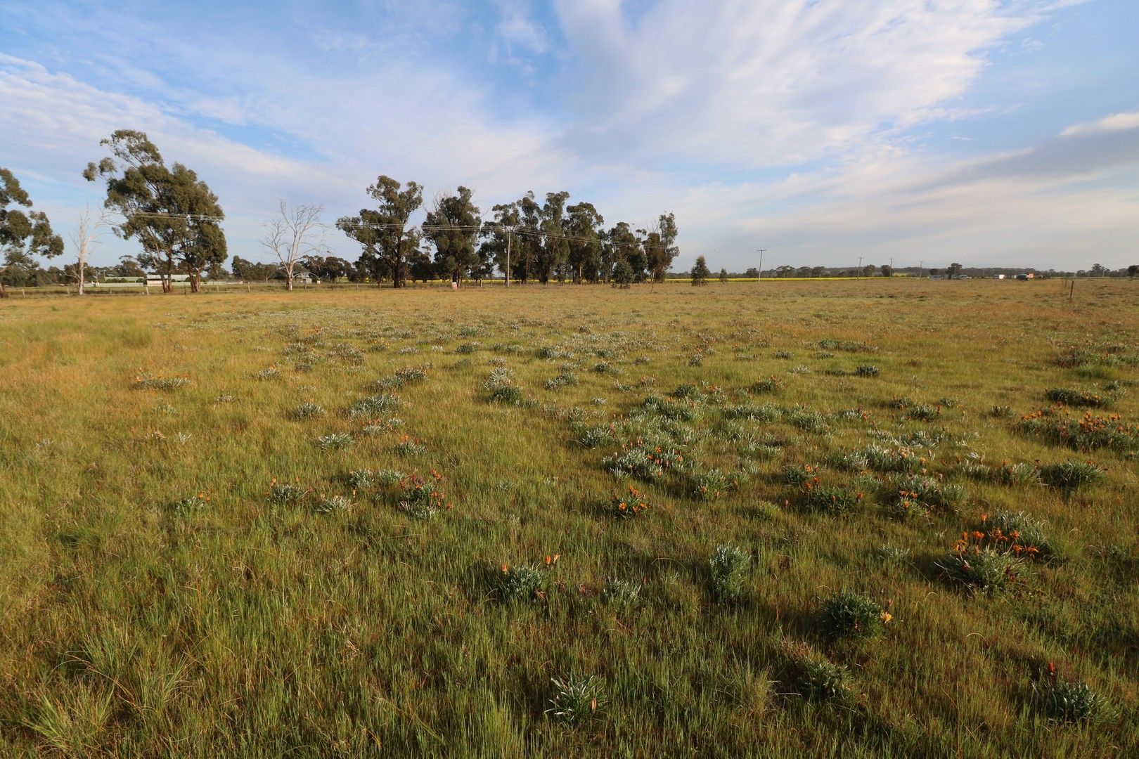Vacant land in 23 - 24 Butt Street, KORONG VALE VIC, 3520