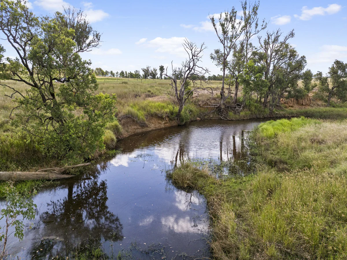 Image 20