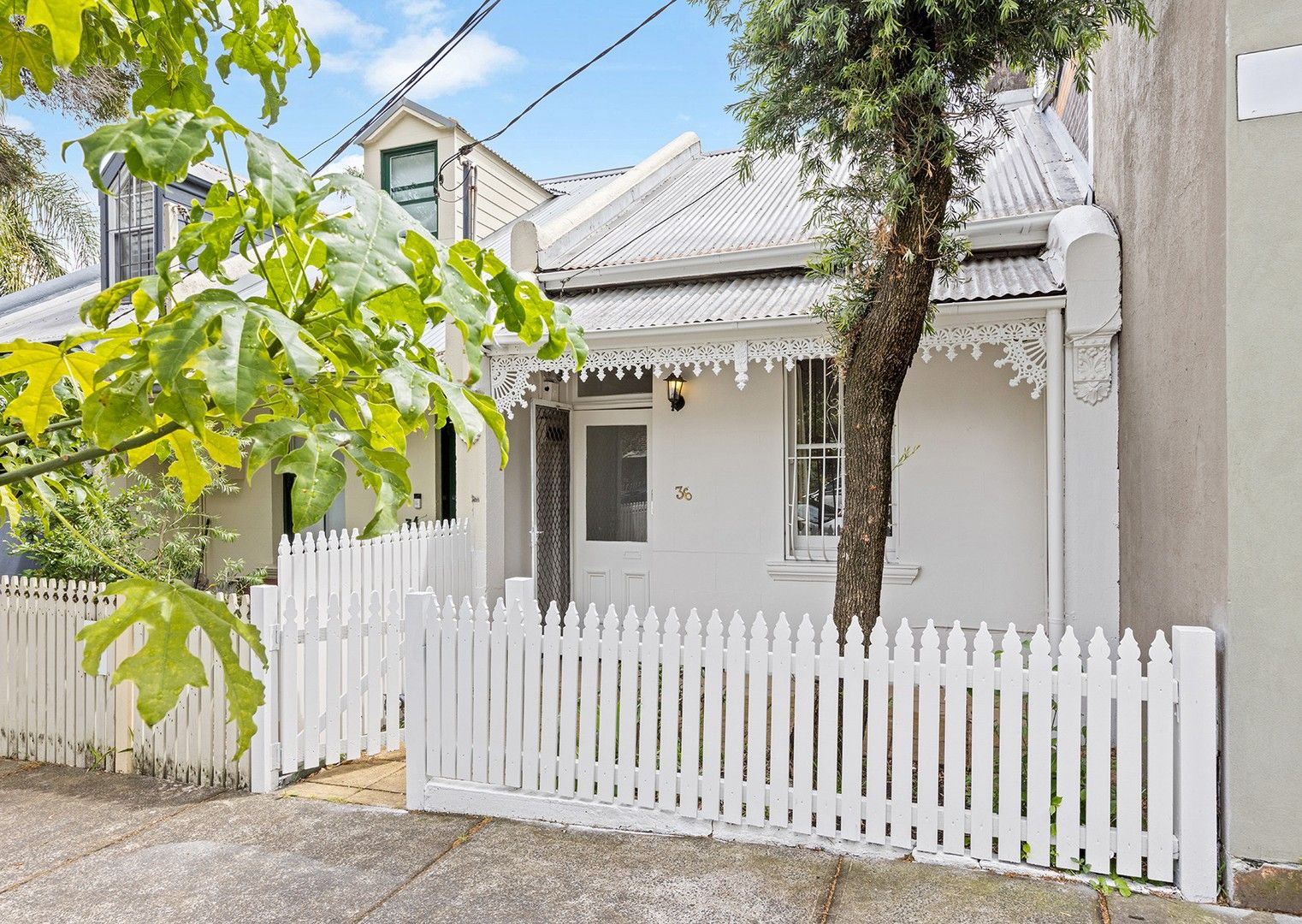 36 Gilpin Street, Camperdown NSW 2050 - House For Rent - $850 | Domain
