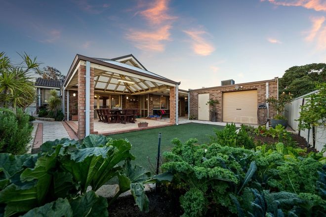 Picture of 20 Carnwrath Way, DUNCRAIG WA 6023