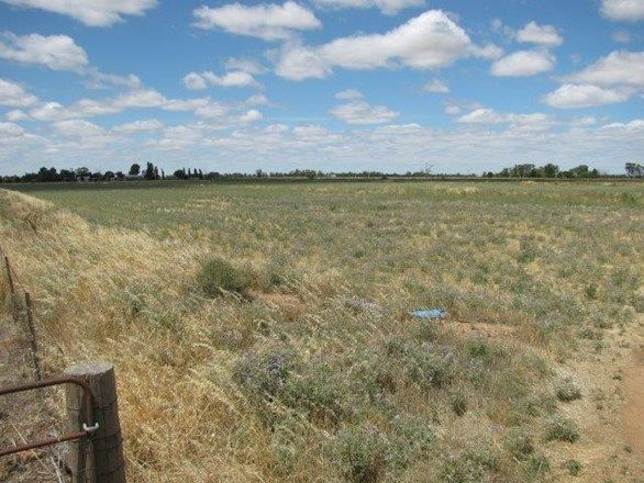 Lot 151, Farm 406 Saunderson Road, Leeton NSW 2705, Image 0