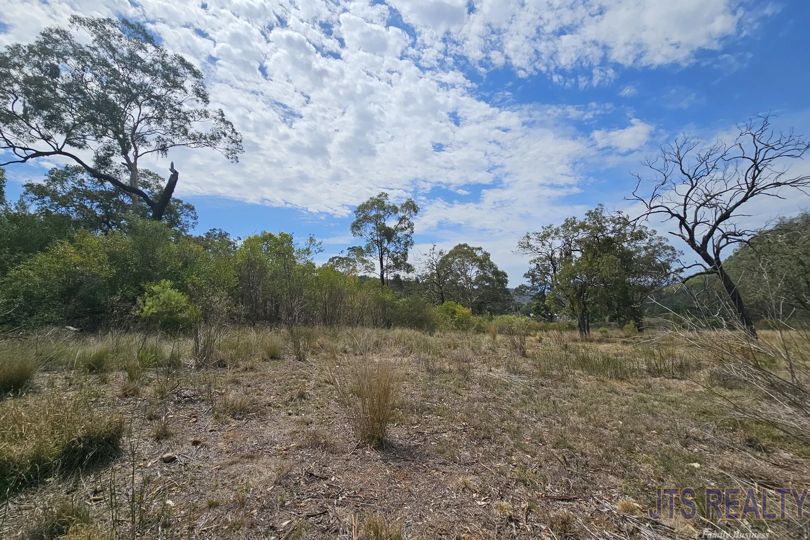 Image 15