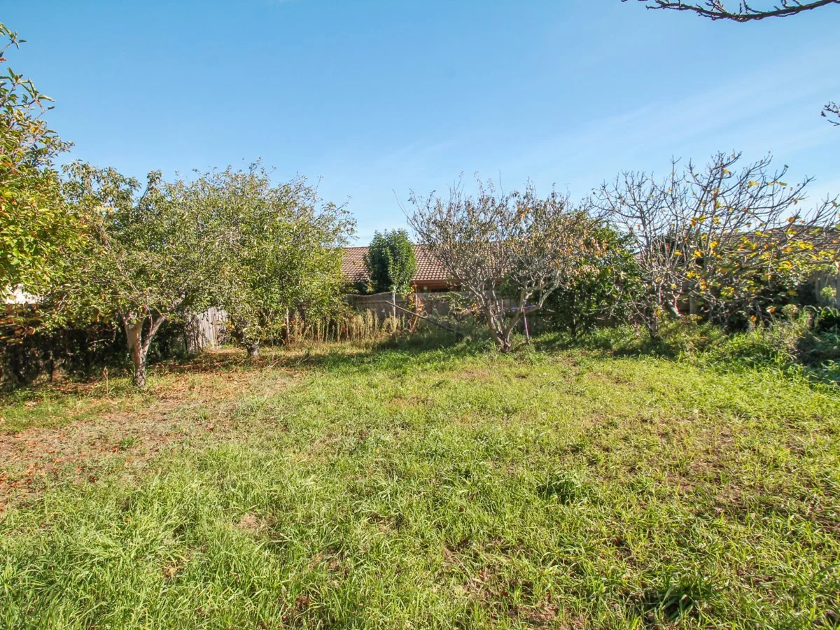 Image 18