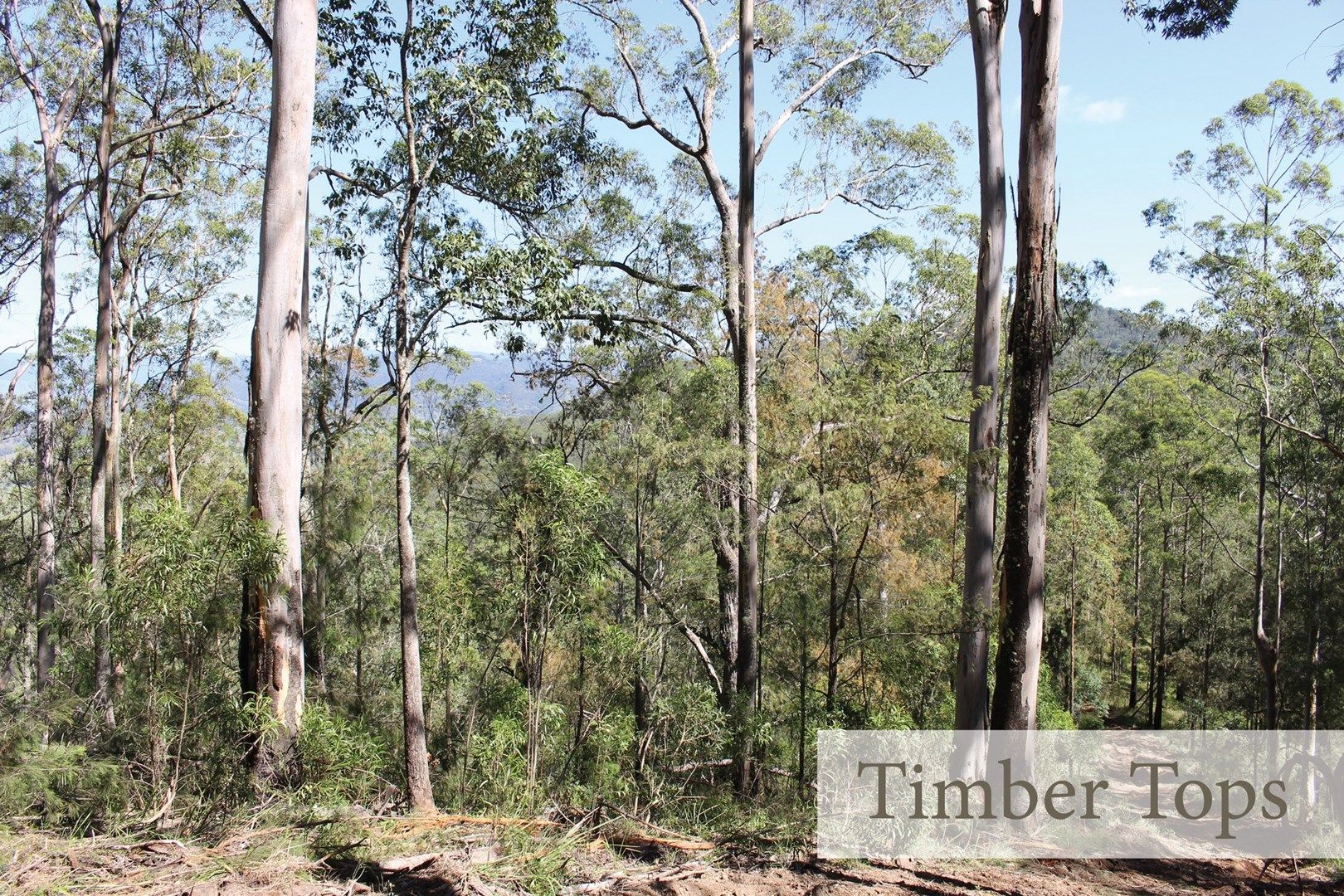 Proposed Lot 106 Mud Hut Road, Gloucester NSW 2422, Image 0