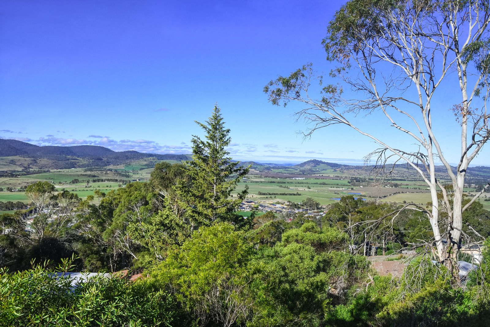 85 Native Corners Road, Campania TAS 7026, Image 2