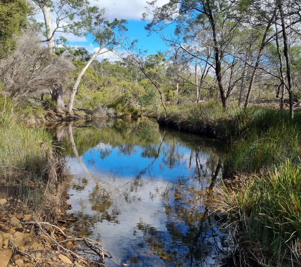 Image 15
