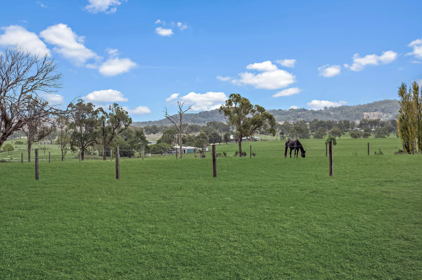 Additional image 26 of 19 Haddocks Road, Tenterfield NSW 2372