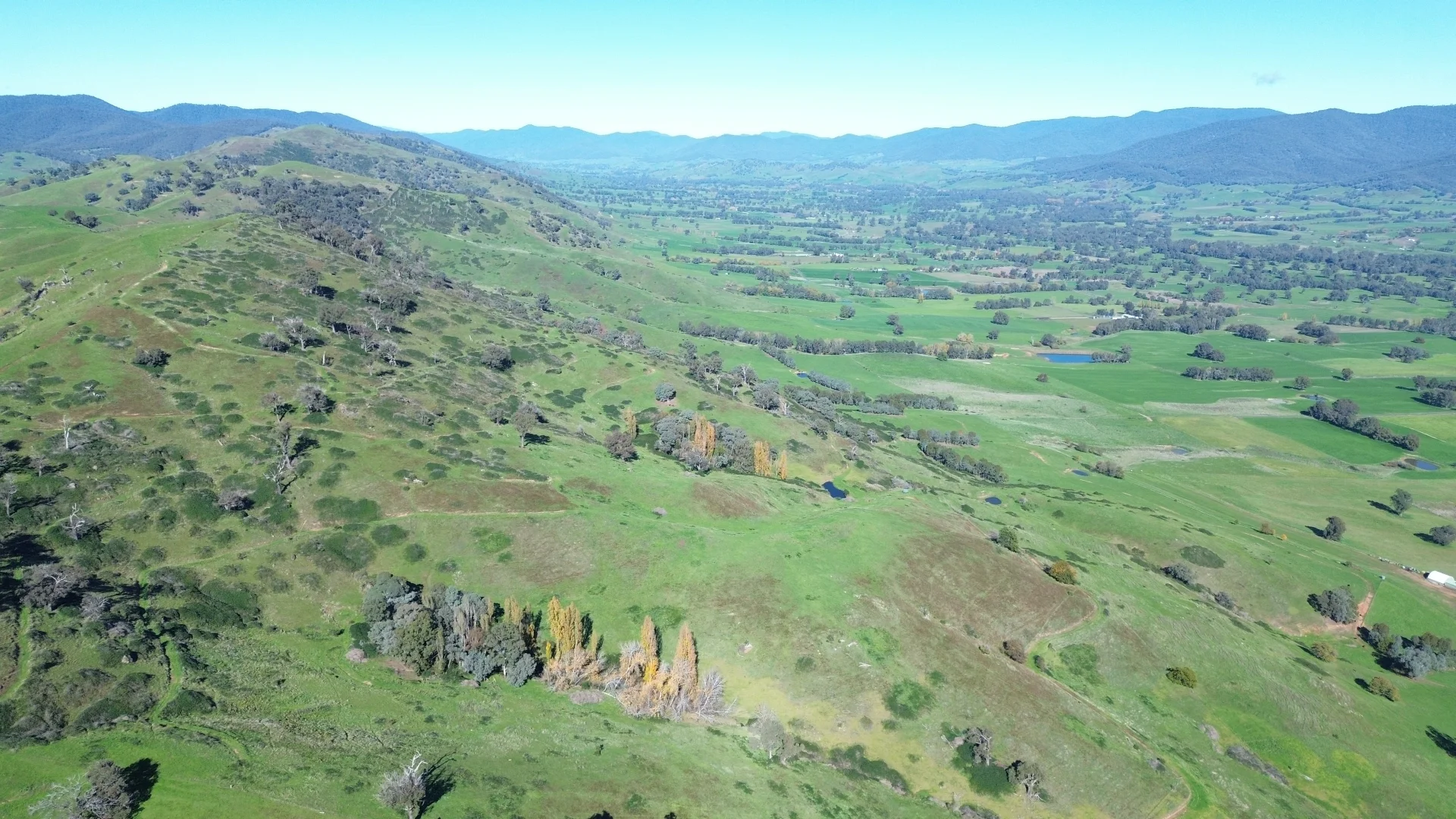 Image 21