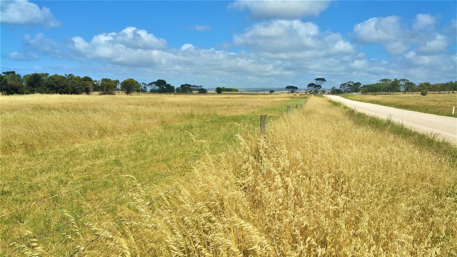 11 Rickaby Road, Goolwa North SA 5214, Image 0