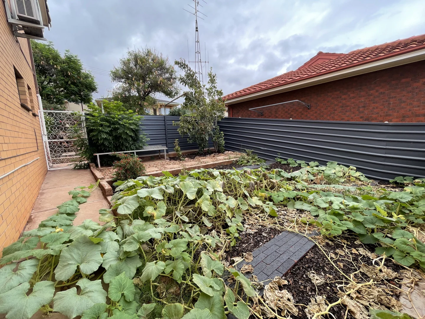 Additional image 10 of 25 Walker Crescent, Whyalla SA 5600