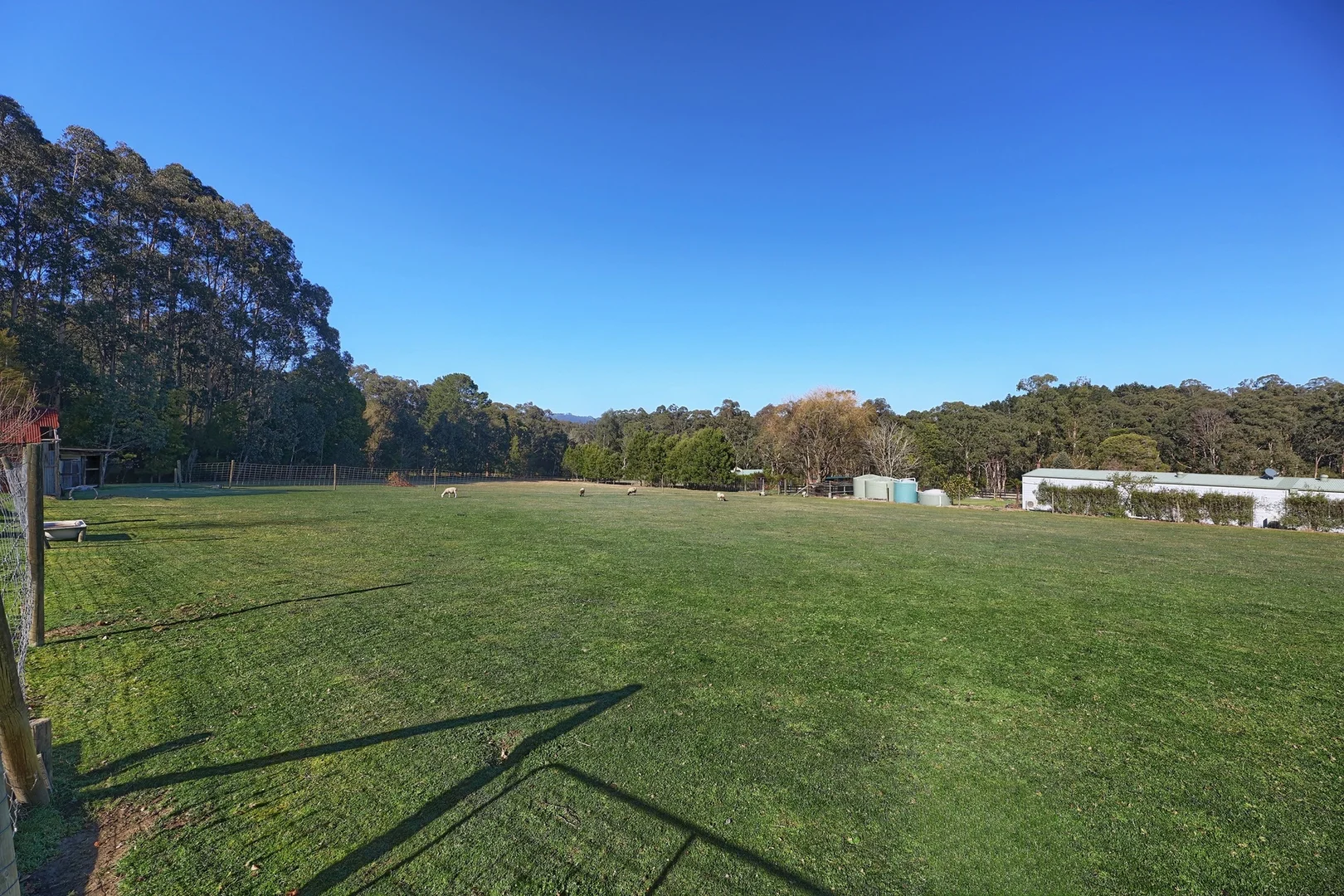 Image 12