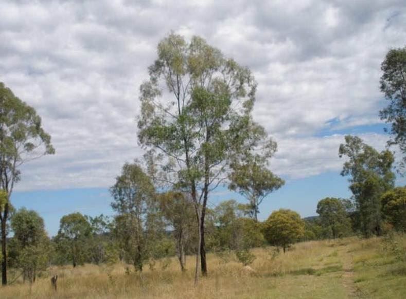 Farm in Lot 2/816 Coverty Road, KINGAROY QLD, 4610
