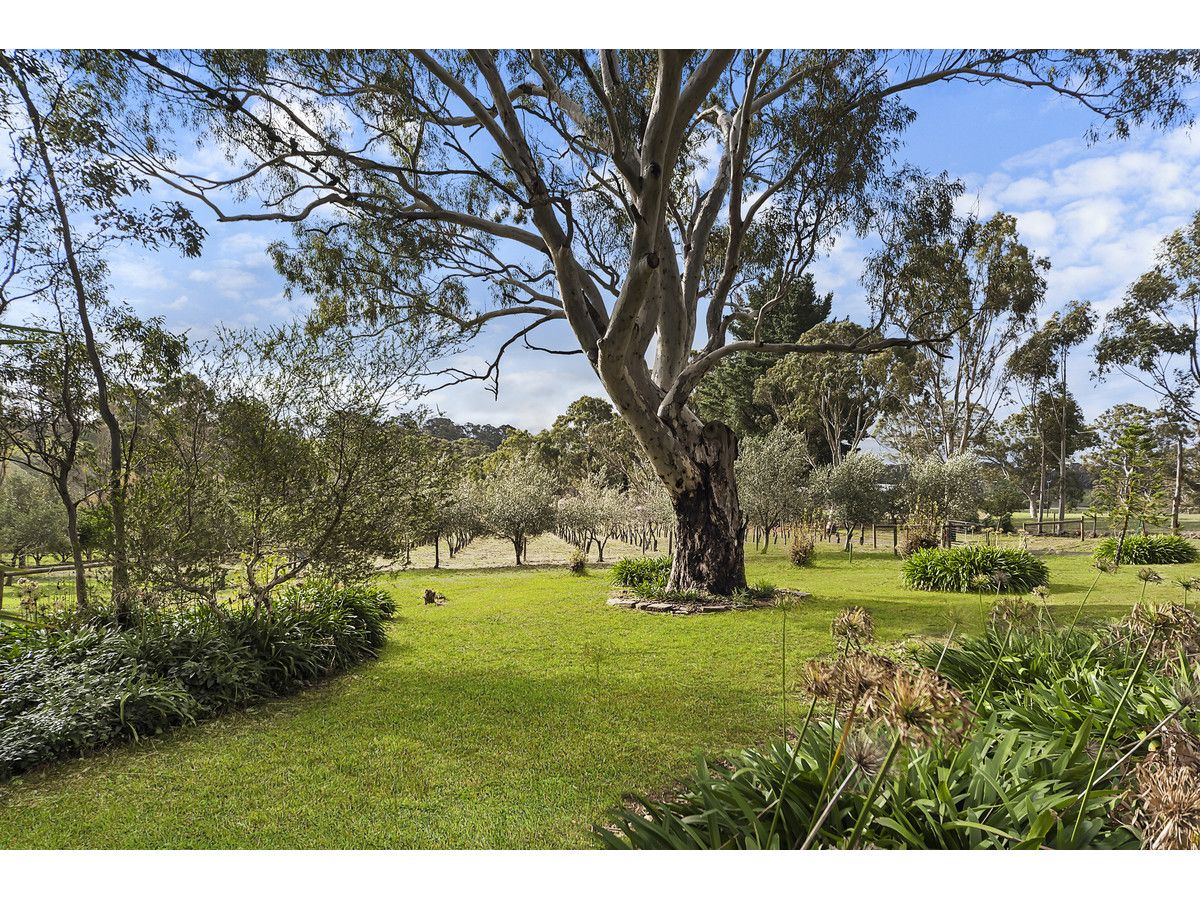 6 Lee Road, Gumeracha SA 5233, Image 2