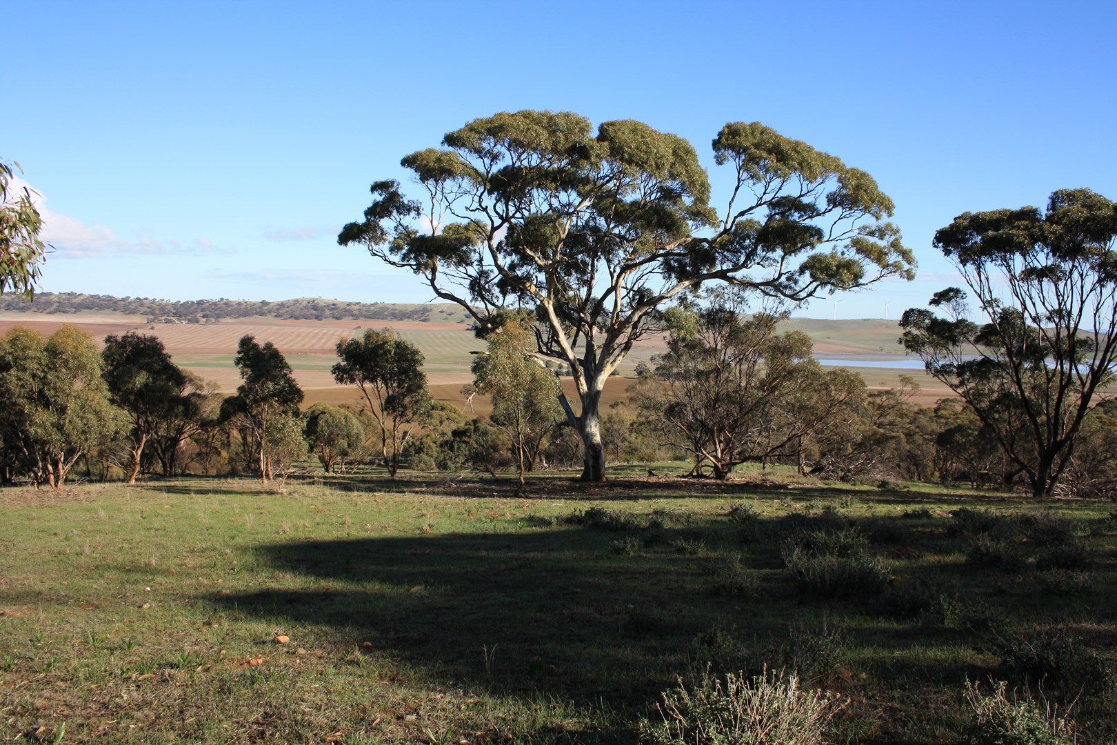 Allotment 236 Lagoon Road, Apoinga SA 5413, Image 0