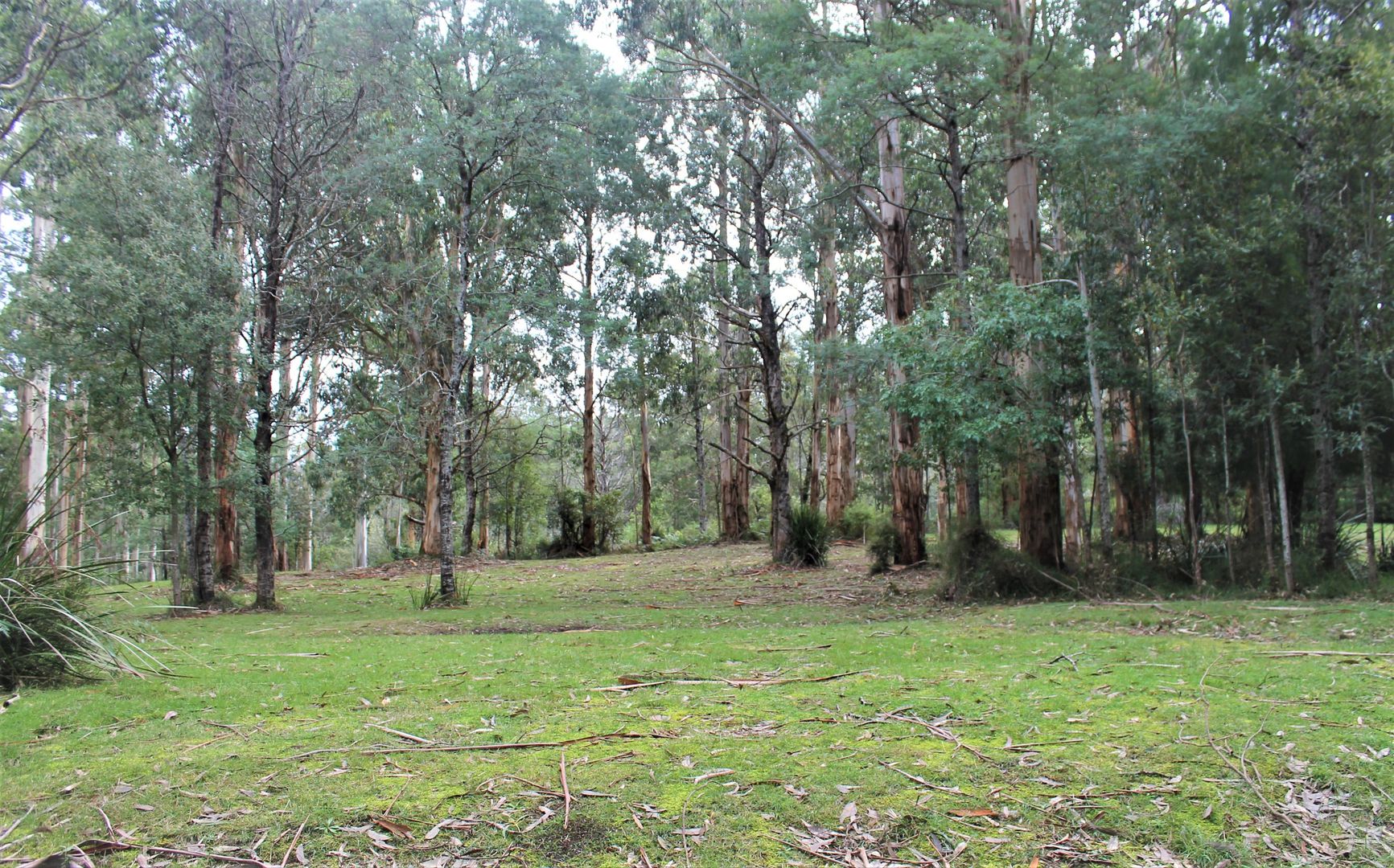 8/2260 Mt Baw Baw Tourist Road, Icy Creek VIC 3833, Image 1