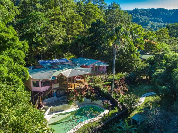 680 Left Bank Road, Mullumbimby Creek NSW 2482